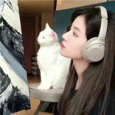 一见不钟情 在线观看