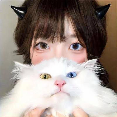 回西藏 在线观看